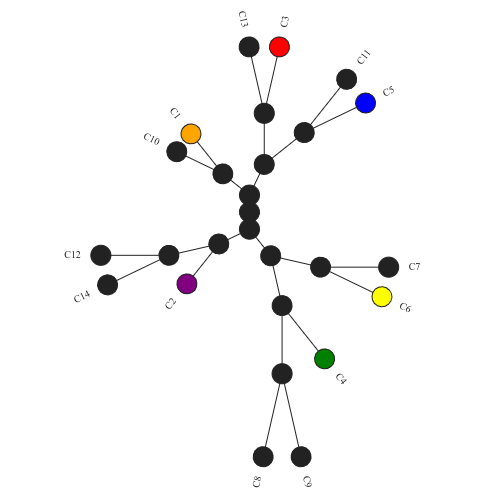 TranscriptDB Clustering Tool