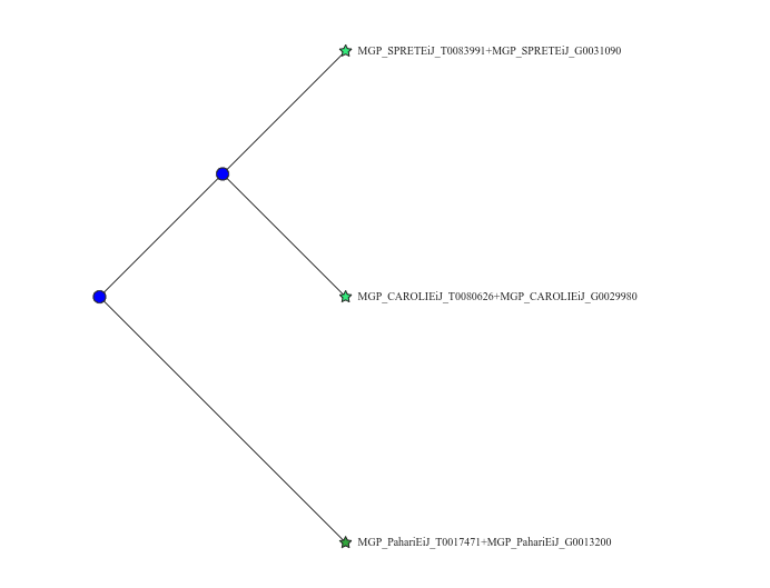 TranscriptDB Phylogenies Tool